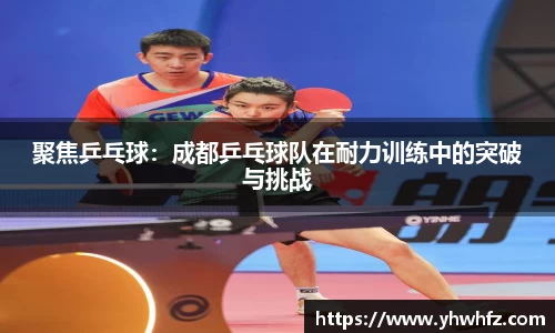 聚焦乒乓球：成都乒乓球队在耐力训练中的突破与挑战