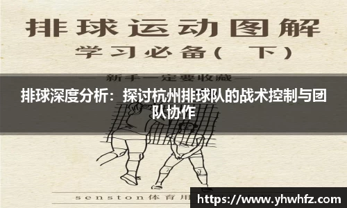 排球深度分析：探讨杭州排球队的战术控制与团队协作