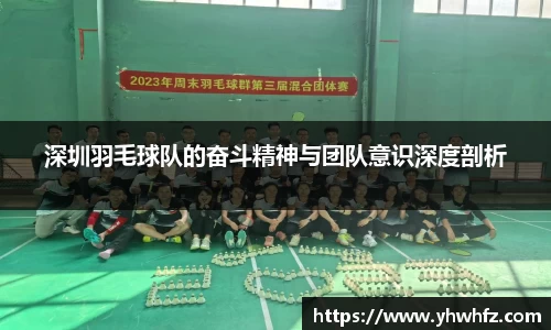 深圳羽毛球队的奋斗精神与团队意识深度剖析