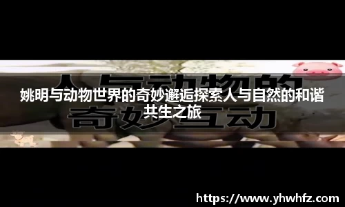 姚明与动物世界的奇妙邂逅探索人与自然的和谐共生之旅