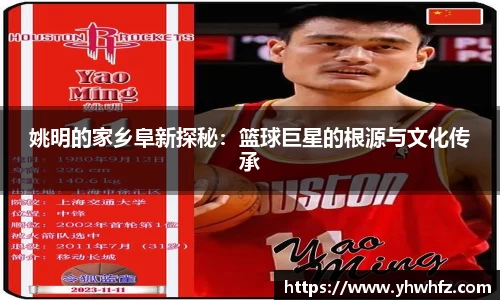 风云体育官网